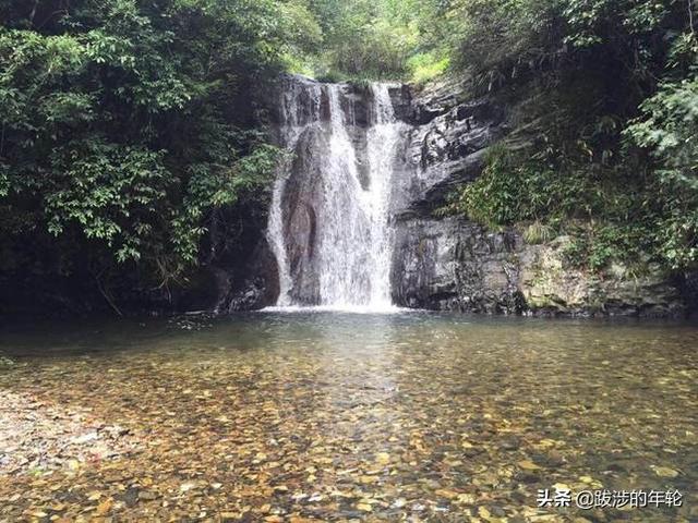 请问上海周边100公里左右自驾游有哪些景点推荐？