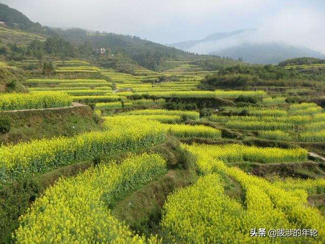 请问上海周边100公里左右自驾游有哪些景点推荐？