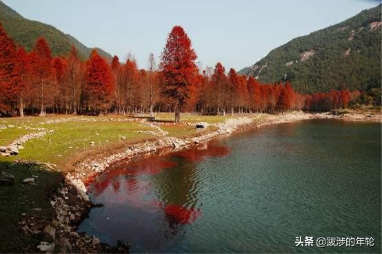 请问上海周边100公里左右自驾游有哪些景点推荐？
