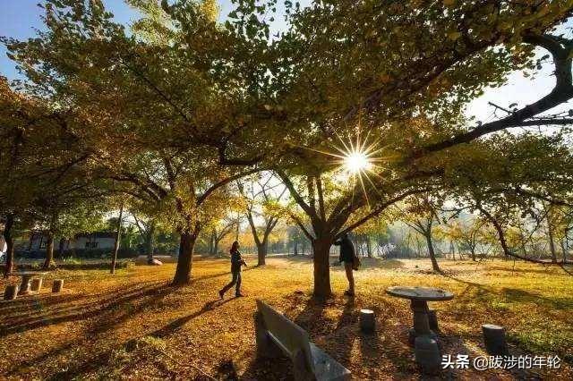 请问上海周边100公里左右自驾游有哪些景点推荐？