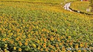 江浙沪秋天适合去哪旅游？