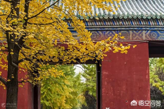 火热的的秋季旅游季，最美秋天在哪里？你又想去看哪里的秋天？
