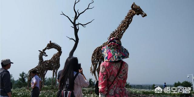 八月十日，宁夏去江西游景点攻略有哪些？