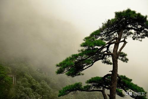 夏季江西哪里适合避暑游玩？