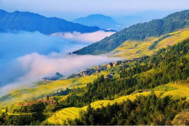 国庆出游，贵州附近哪里有美丽的秋景？