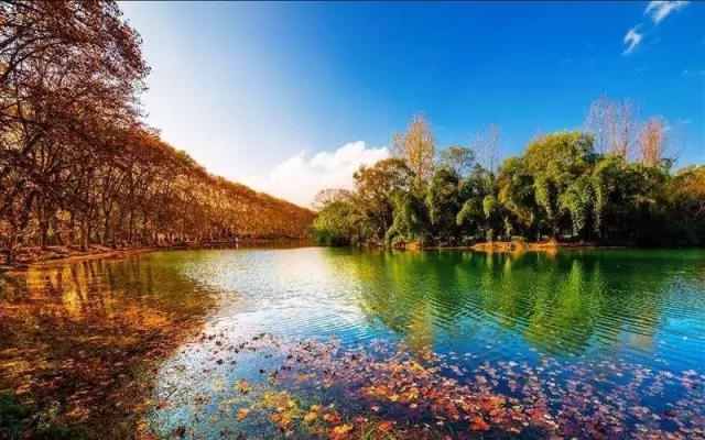 国庆出游，贵州附近哪里有美丽的秋景？