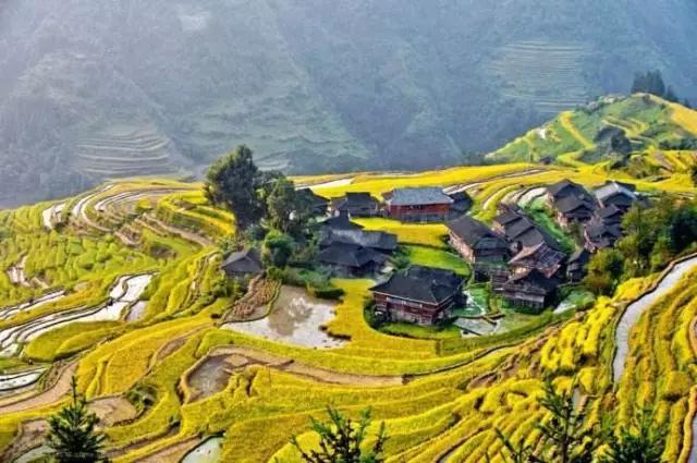 国庆出游，贵州附近哪里有美丽的秋景？