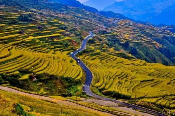 国庆出游，贵州附近哪里有美丽的秋景？