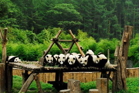 中秋旅游景点推荐
