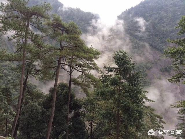 第一次去婺源。怎么安排旅游线路。玩几天合适啊？
