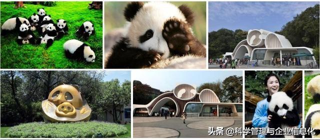 成都哪里最好玩？有何旅游攻略分享呢？