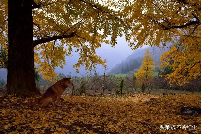 11月份桂林旅游哪里风景漂亮？推荐几个？