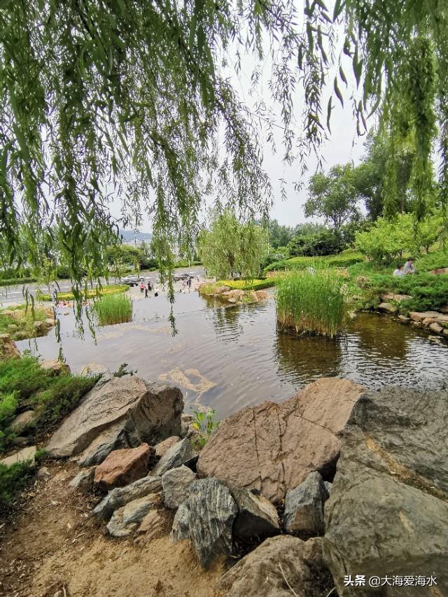 国庆节去大连旅游，4天左右时间，有哪些建议？