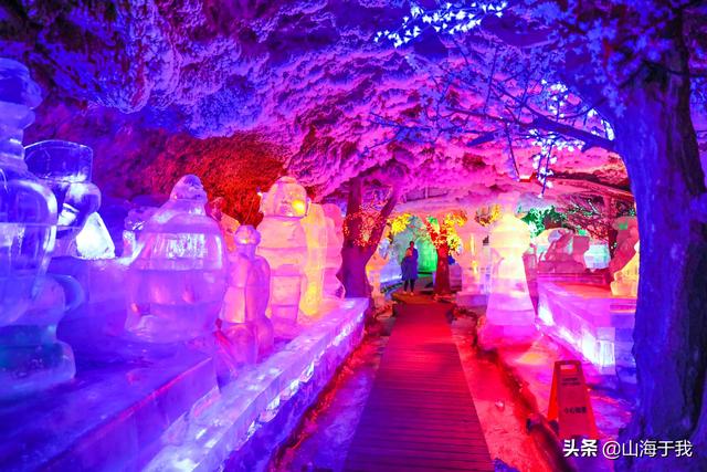 麻烦爱旅游的朋友，帮我推荐一下黑龙江省内游的景点？