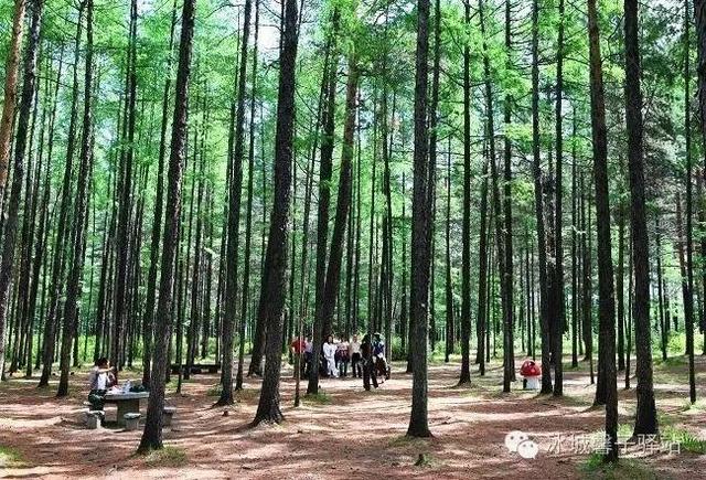 黑龙江有哪些著名旅游景点？