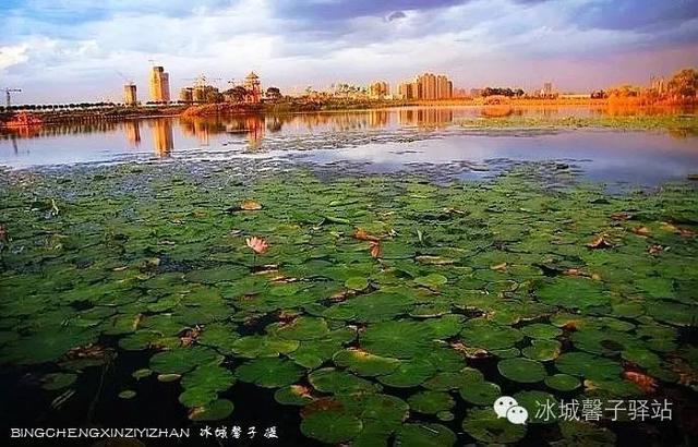 黑龙江有哪些著名旅游景点？