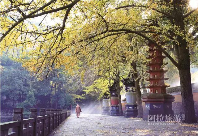 想看宁波最美的山水，怎么选择路线？