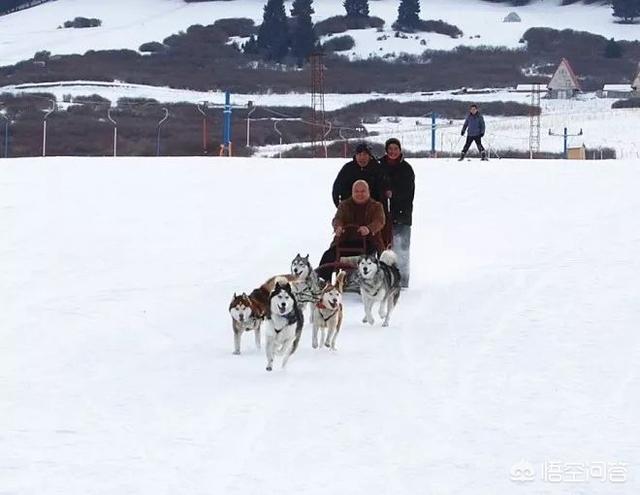 宁波哪里可以滑雪？