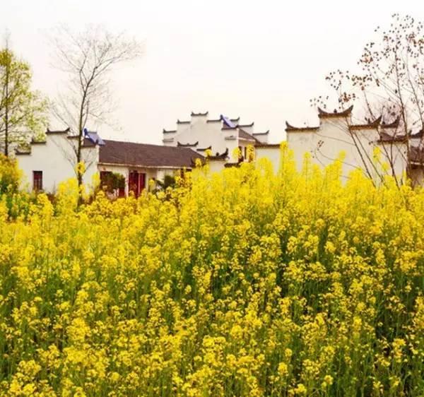 武汉哪些地方值得旅游？