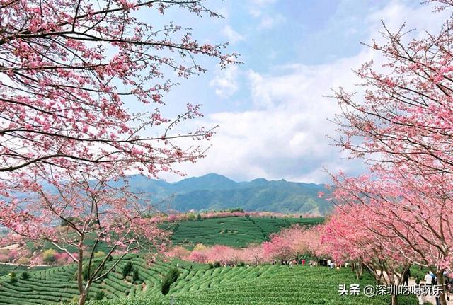 夏天去哪旅游好，省钱，避暑？求推荐？