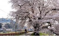 日本北海道，天气最冷是几度，最热是几度，各是几月份