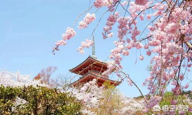 4月份去日本旅游，哪些地方比较推荐？