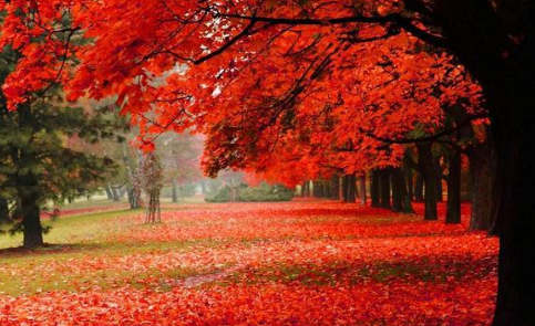 北京赏秋看红叶最好的地方是哪里？