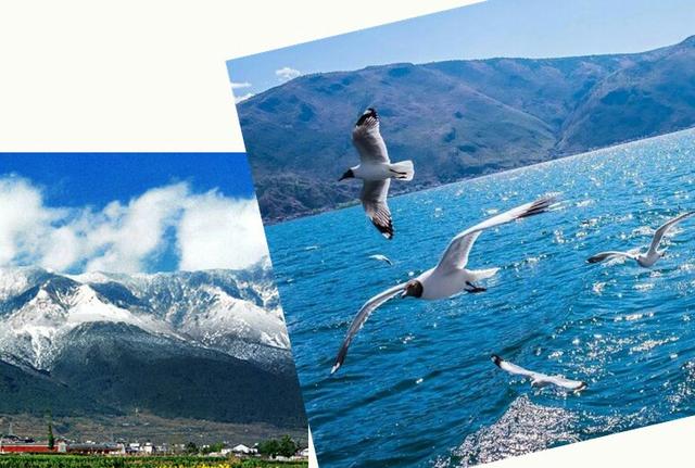 夏天去哪里旅游好，有哪些地方适合夏天去玩？