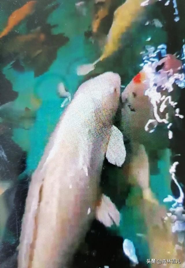 哈尔滨高考过后的暑假你想去哪里玩？