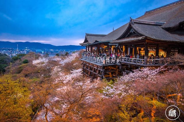 想去日本旅游，有什么旅游攻略呢？