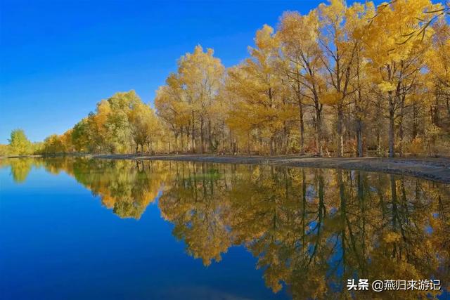 大家好，最近准备去旅游，想要去看有秋天气氛浓郁及金灿灿的感觉地方，有什么地方推荐？