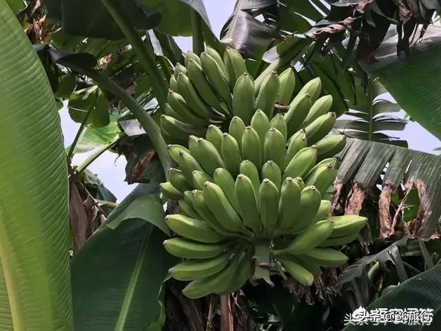 广东有哪些景点适合夏天游玩？