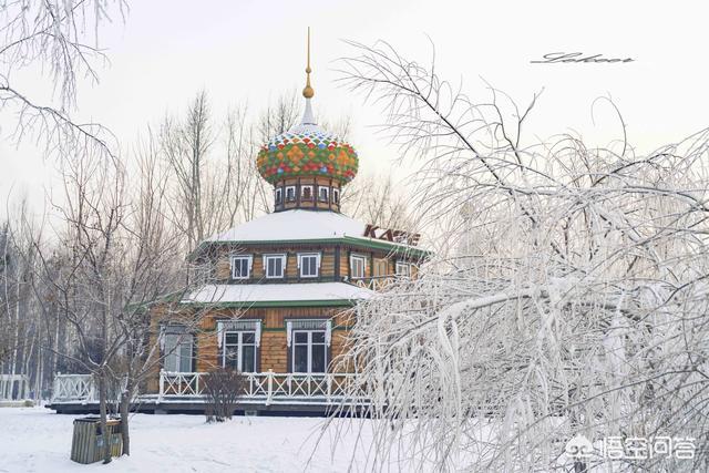 南方人冬天想带父母出去旅游，想就在国内转转，有哪些推荐呢？