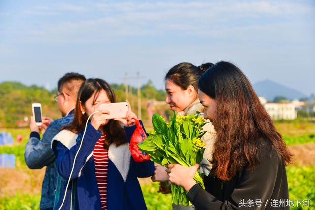 冬季到南方哪些地方旅行合适？