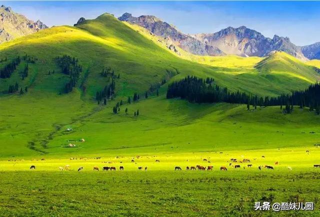 由于疫情，今年暑假有哪些国内旅游推荐地？
