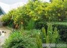 沈阳全家10多口郊游去哪好？