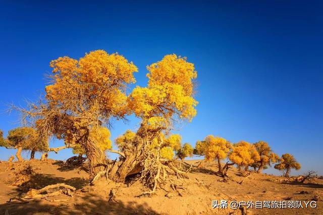 秋天去哪里玩比较安静？