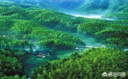 成都附近哪里有适合夏季旅游的山水景点？