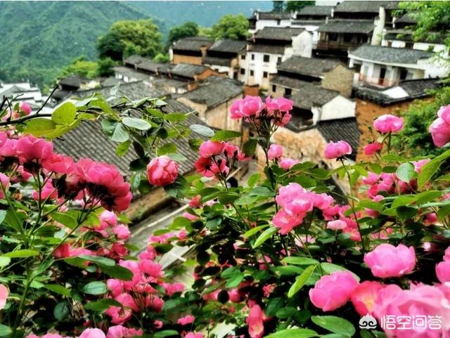夏天国内有没有既可以避暑，风景又好的旅游拍摄地推荐？