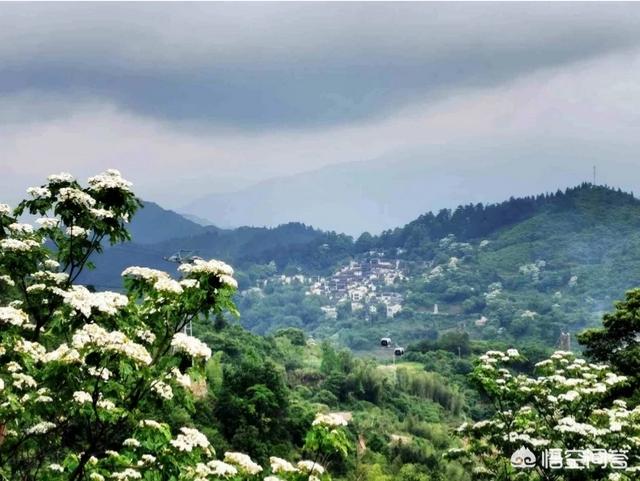 夏天国内有没有既可以避暑，风景又好的旅游拍摄地推荐？