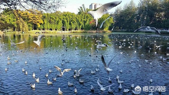 春节打算全家去旅行，有什么线路推荐？