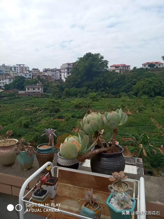 中国最美的秋天在哪里？