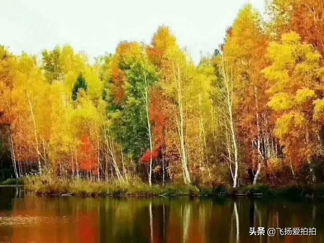 十一小长假打算自驾游大草原，有什么能去的地方？求推荐？