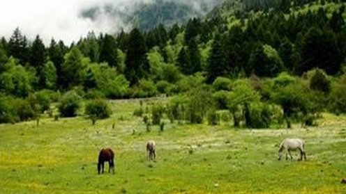 四川哪里有避暑的地方？