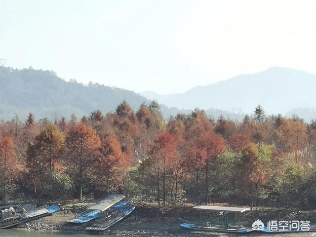 十一月适合去哪里旅游？