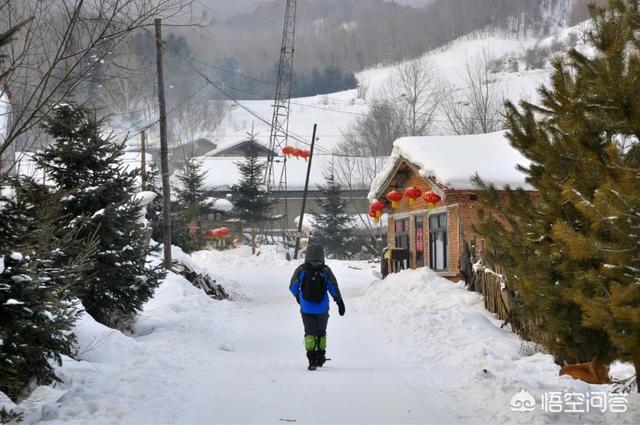 冬天去哪旅行？自由行？