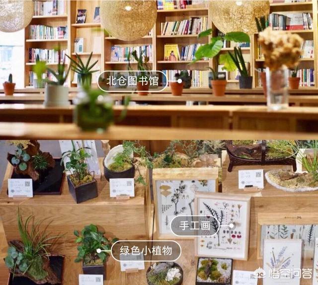 春节期间“网红城市”重庆都有哪些好玩的值得推荐？