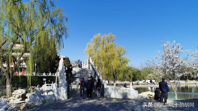 你觉得几月份能和家人一起出游？