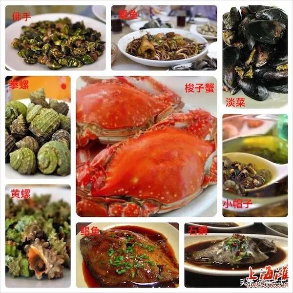 父母一直想去海边旅游，有哪些城市比较推荐一家人去呢？