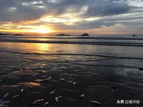 父母一直想去海边旅游，有哪些城市比较推荐一家人去呢？
